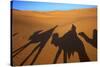 Shadows of Camels and Riders in the Desert, Merzouga, Morocco, North Africa-Neil Farrin-Stretched Canvas