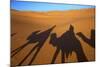 Shadows of Camels and Riders in the Desert, Merzouga, Morocco, North Africa-Neil Farrin-Mounted Photographic Print