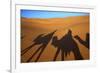 Shadows of Camels and Riders in the Desert, Merzouga, Morocco, North Africa-Neil Farrin-Framed Photographic Print