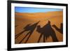 Shadows of Camels and Riders in the Desert, Merzouga, Morocco, North Africa-Neil Farrin-Framed Photographic Print