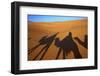 Shadows of Camels and Riders in the Desert, Merzouga, Morocco, North Africa-Neil Farrin-Framed Photographic Print