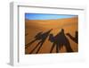 Shadows of Camels and Riders in the Desert, Merzouga, Morocco, North Africa-Neil Farrin-Framed Photographic Print