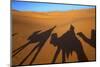 Shadows of Camels and Riders in the Desert, Merzouga, Morocco, North Africa-Neil Farrin-Mounted Photographic Print