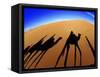 Shadows of Camels-Martin Harvey-Framed Stretched Canvas