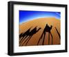 Shadows of Camels-Martin Harvey-Framed Photographic Print
