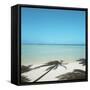 Shadows of Palm Trees on Beach-null-Framed Stretched Canvas