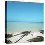 Shadows of Palm Trees on Beach-null-Stretched Canvas