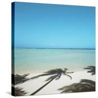 Shadows of Palm Trees on Beach-null-Stretched Canvas