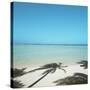 Shadows of Palm Trees on Beach-null-Stretched Canvas