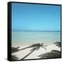 Shadows of Palm Trees on Beach-null-Framed Stretched Canvas