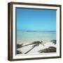 Shadows of Palm Trees on Beach-null-Framed Premium Photographic Print