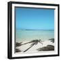 Shadows of Palm Trees on Beach-null-Framed Premium Photographic Print