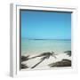 Shadows of Palm Trees on Beach-null-Framed Premium Photographic Print