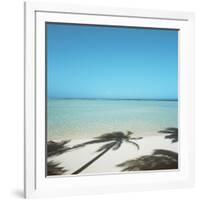 Shadows of Palm Trees on Beach-null-Framed Photographic Print