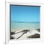 Shadows of Palm Trees on Beach-null-Framed Photographic Print