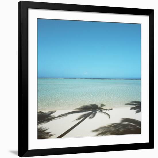 Shadows of Palm Trees on Beach-null-Framed Photographic Print