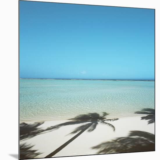 Shadows of Palm Trees on Beach-null-Mounted Photographic Print