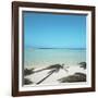 Shadows of Palm Trees on Beach-null-Framed Photographic Print