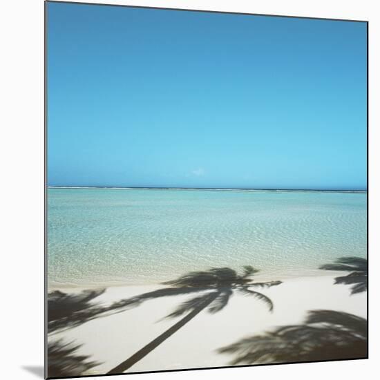 Shadows of Palm Trees on Beach-null-Mounted Photographic Print