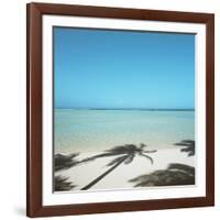 Shadows of Palm Trees on Beach-null-Framed Photographic Print