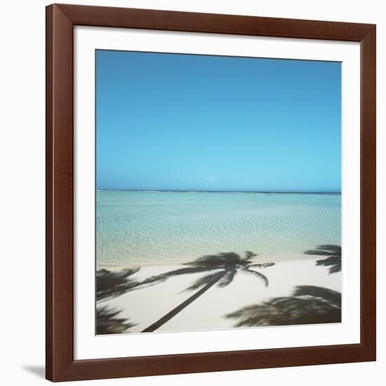 Shadows of Palm Trees on Beach-null-Framed Photographic Print