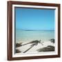 Shadows of Palm Trees on Beach-null-Framed Photographic Print