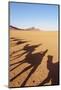 Shadows of people riding camels in a caravan at Zagora Desert, Draa-Tafilalet Region, Morocco-Karol Kozlowski-Mounted Photographic Print