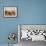 Shadows of people riding camels in a caravan in Zagora Desert, Draa-Tafilalet Region, Morocco-Karol Kozlowski-Framed Photographic Print displayed on a wall