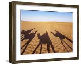 Shadows of people riding camels in a caravan in Zagora Desert, Draa-Tafilalet Region, Morocco-Karol Kozlowski-Framed Photographic Print