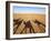 Shadows of people riding camels in a caravan in Zagora Desert, Draa-Tafilalet Region, Morocco-Karol Kozlowski-Framed Photographic Print