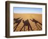 Shadows of people riding camels in a caravan in Zagora Desert, Draa-Tafilalet Region, Morocco-Karol Kozlowski-Framed Photographic Print