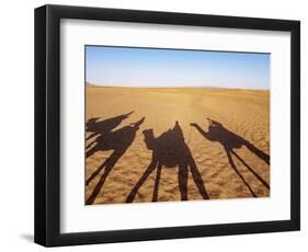 Shadows of people riding camels in a caravan in Zagora Desert, Draa-Tafilalet Region, Morocco-Karol Kozlowski-Framed Photographic Print