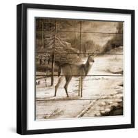 Shadows of the Forest-Ruane Manning-Framed Art Print