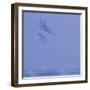 Shadows of Thought 2-Jacob Berghoef-Framed Photographic Print