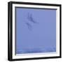 Shadows of Thought 2-Jacob Berghoef-Framed Photographic Print