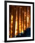 Shadows of Tree Leaves on Gates at Torii Path, Fushimi Inari-Taisha Temple, Fushimi-Ku, Japan-null-Framed Photographic Print