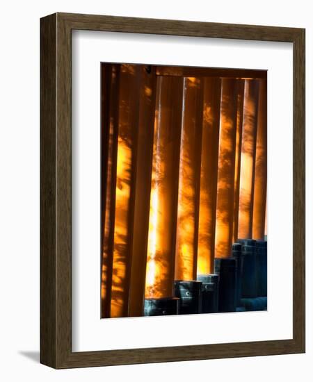 Shadows of Tree Leaves on Gates at Torii Path, Fushimi Inari-Taisha Temple, Fushimi-Ku, Japan-null-Framed Photographic Print