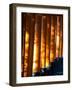 Shadows of Tree Leaves on Gates at Torii Path, Fushimi Inari-Taisha Temple, Fushimi-Ku, Japan-null-Framed Photographic Print