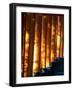 Shadows of Tree Leaves on Gates at Torii Path, Fushimi Inari-Taisha Temple, Fushimi-Ku, Japan-null-Framed Photographic Print