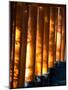 Shadows of Tree Leaves on Gates at Torii Path, Fushimi Inari-Taisha Temple, Fushimi-Ku, Japan-null-Mounted Photographic Print