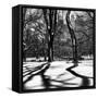 Shadows of Trees Play in Central Park Snow-Philippe Hugonnard-Framed Stretched Canvas