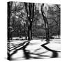 Shadows of Trees Play in Central Park Snow-Philippe Hugonnard-Stretched Canvas