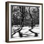 Shadows of Trees Play in Central Park Snow-Philippe Hugonnard-Framed Premium Photographic Print