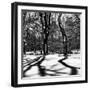 Shadows of Trees Play in Central Park Snow-Philippe Hugonnard-Framed Premium Photographic Print