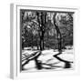 Shadows of Trees Play in Central Park Snow-Philippe Hugonnard-Framed Premium Photographic Print