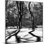 Shadows of Trees Play in Central Park Snow-Philippe Hugonnard-Mounted Premium Photographic Print