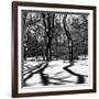 Shadows of Trees Play in Central Park Snow-Philippe Hugonnard-Framed Photographic Print