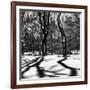 Shadows of Trees Play in Central Park Snow-Philippe Hugonnard-Framed Photographic Print