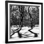 Shadows of Trees Play in Central Park Snow-Philippe Hugonnard-Framed Photographic Print