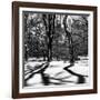 Shadows of Trees Play in Central Park Snow-Philippe Hugonnard-Framed Photographic Print